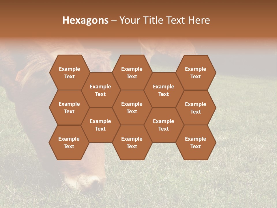 Isolated Cheese Yellow PowerPoint Template