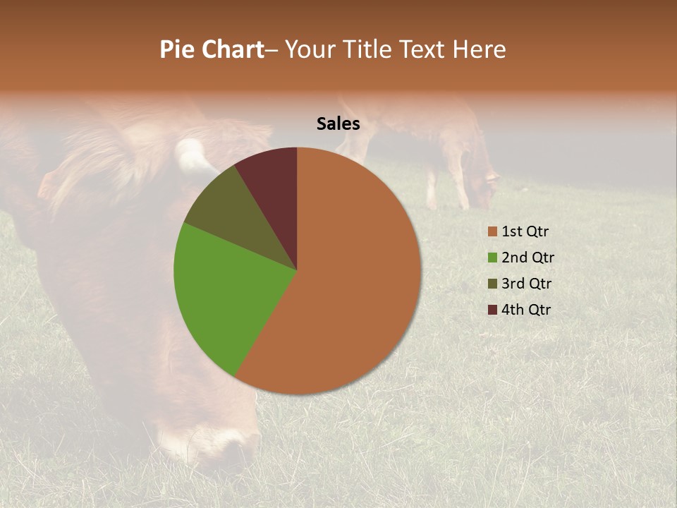 Isolated Cheese Yellow PowerPoint Template
