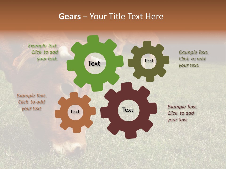 Isolated Cheese Yellow PowerPoint Template