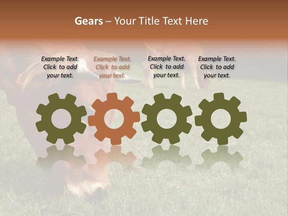 Isolated Cheese Yellow PowerPoint Template