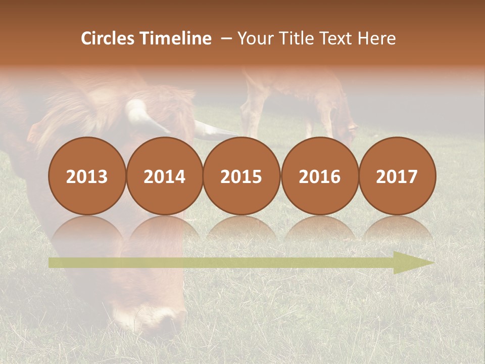 Isolated Cheese Yellow PowerPoint Template