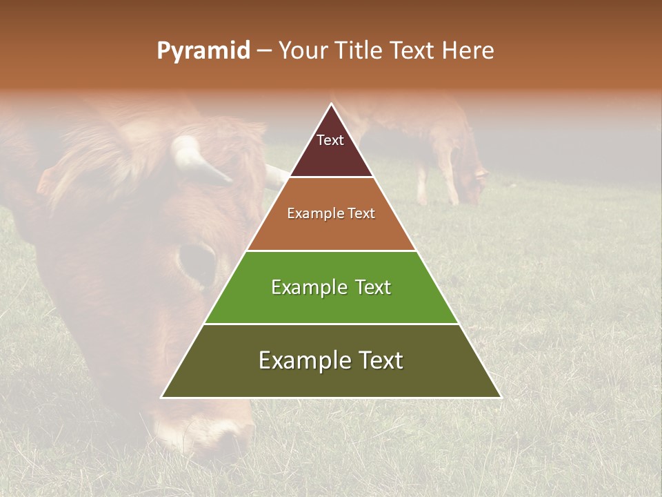 Isolated Cheese Yellow PowerPoint Template