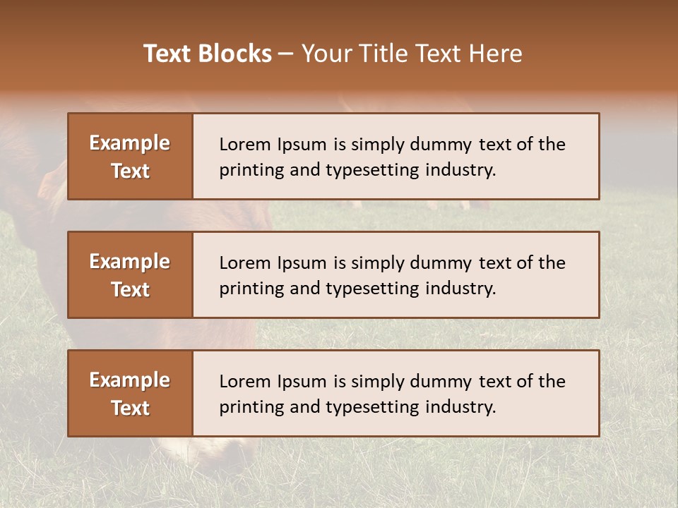 Isolated Cheese Yellow PowerPoint Template