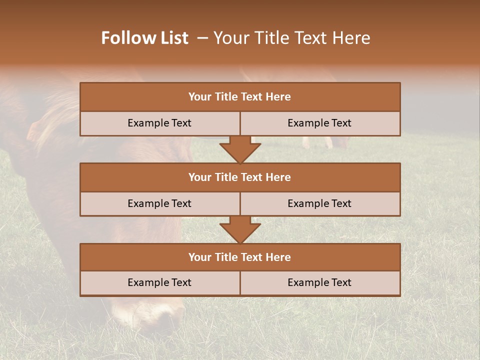 Isolated Cheese Yellow PowerPoint Template