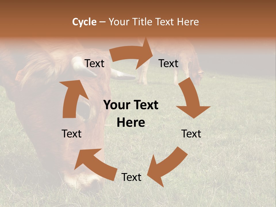 Isolated Cheese Yellow PowerPoint Template