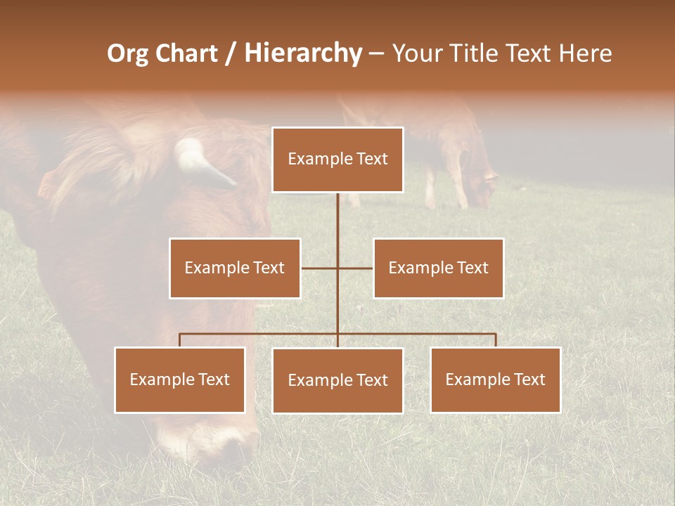 Isolated Cheese Yellow PowerPoint Template