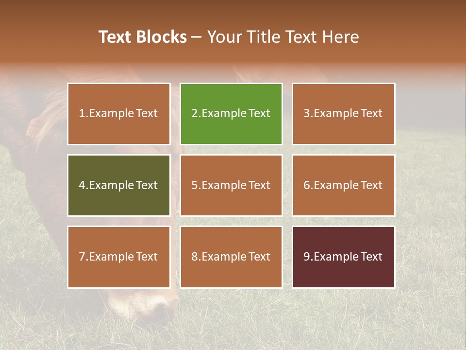 Isolated Cheese Yellow PowerPoint Template