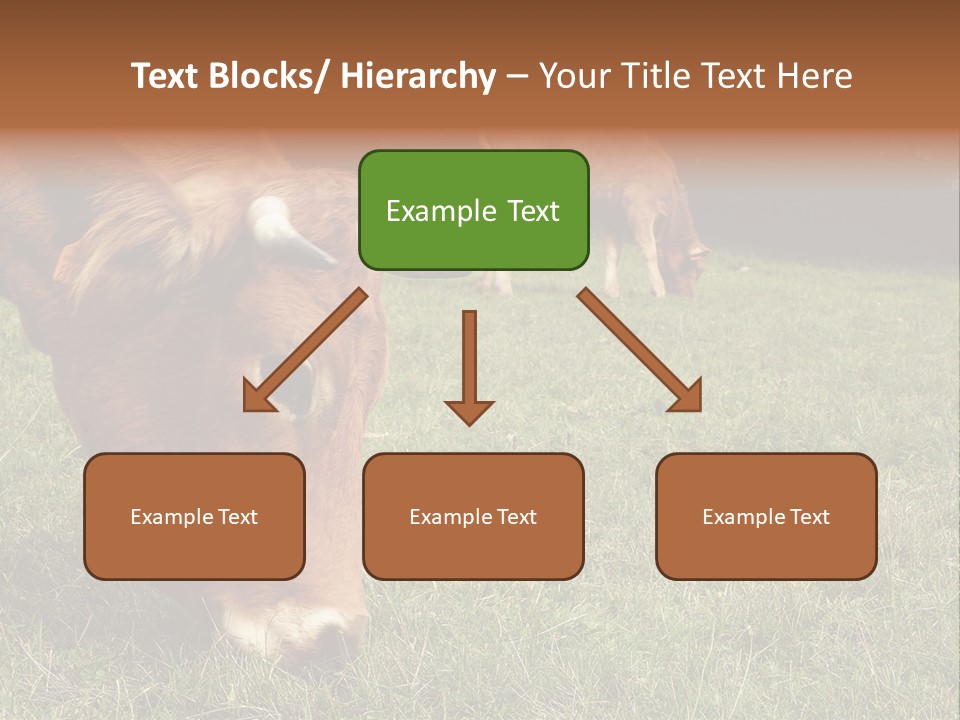 Isolated Cheese Yellow PowerPoint Template