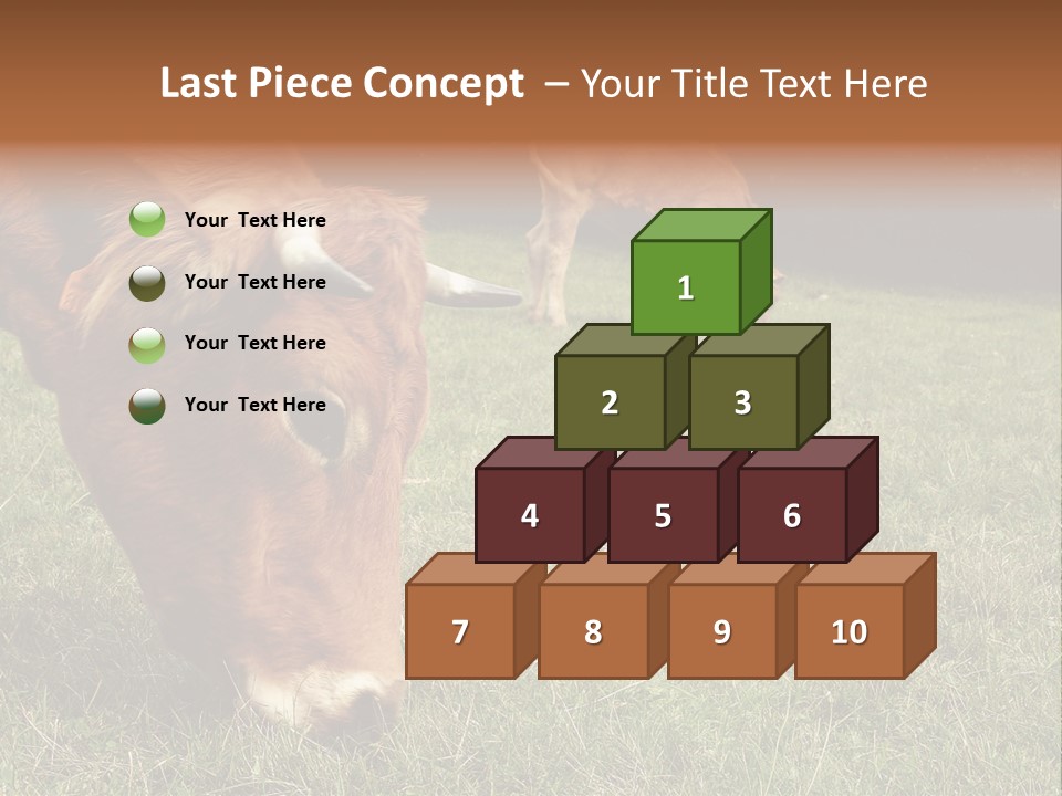 Isolated Cheese Yellow PowerPoint Template