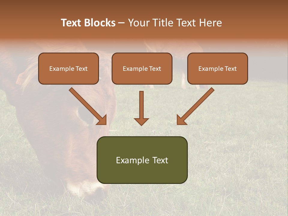 Isolated Cheese Yellow PowerPoint Template