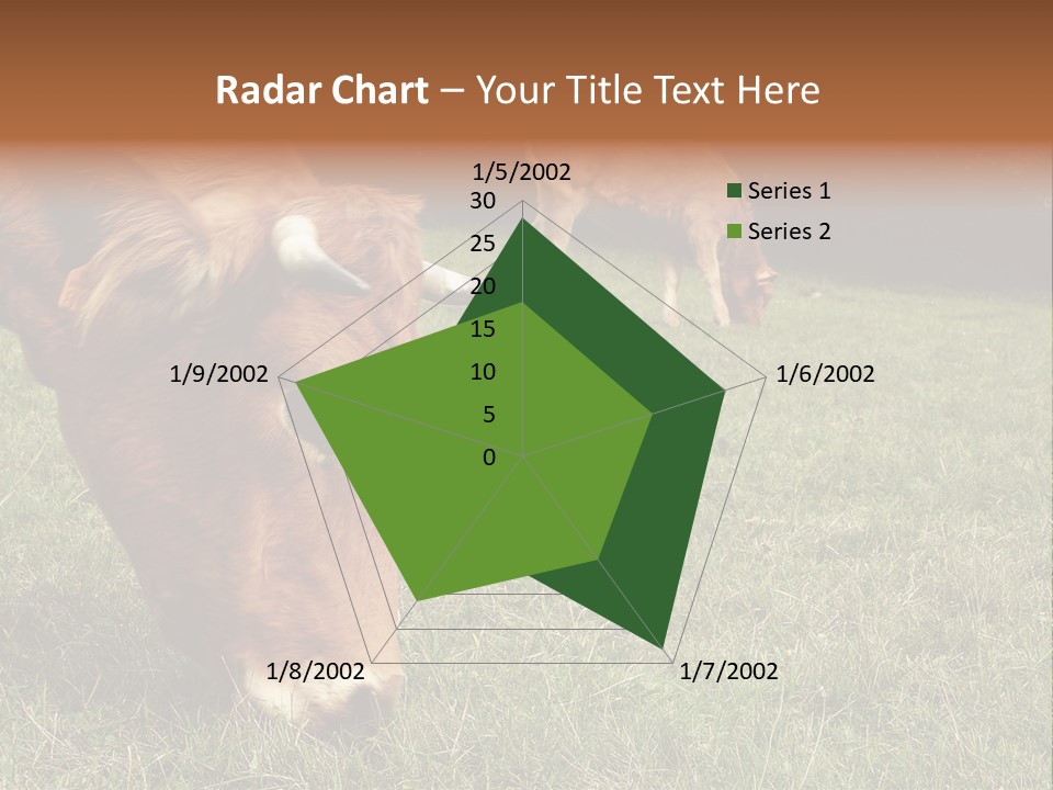 Isolated Cheese Yellow PowerPoint Template