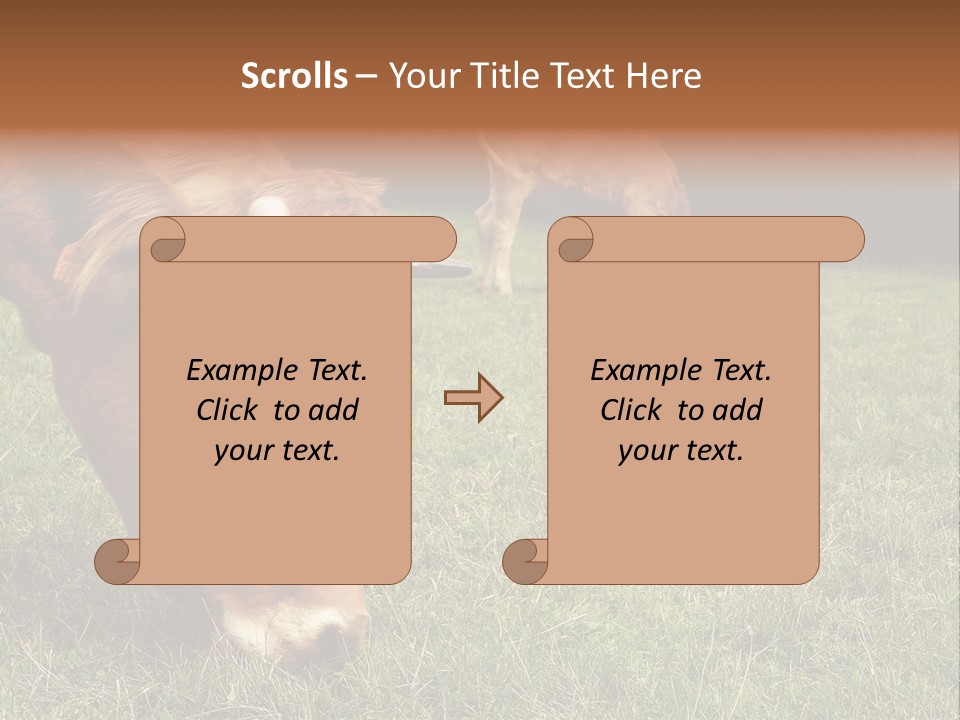 Isolated Cheese Yellow PowerPoint Template