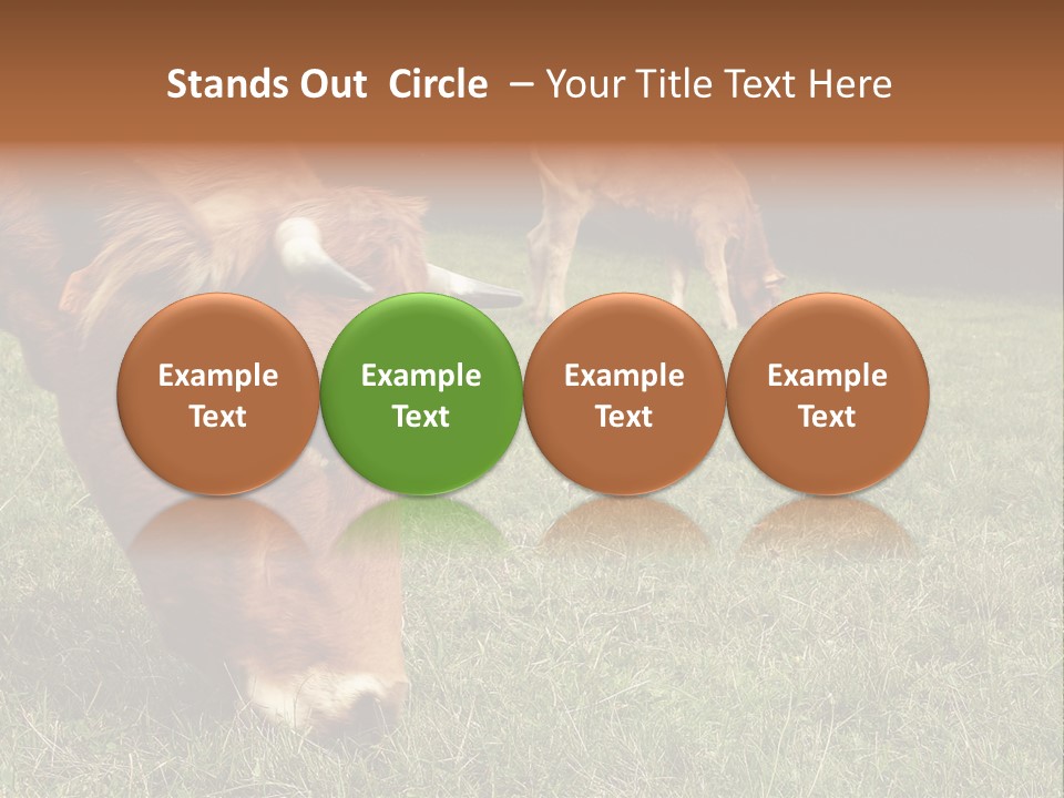 Isolated Cheese Yellow PowerPoint Template