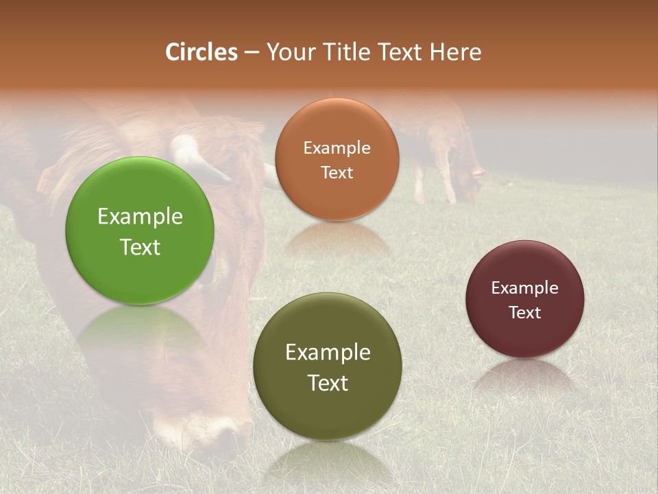Isolated Cheese Yellow PowerPoint Template
