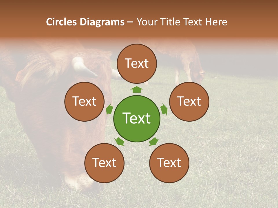 Isolated Cheese Yellow PowerPoint Template