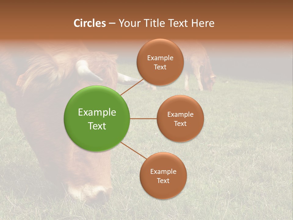 Isolated Cheese Yellow PowerPoint Template