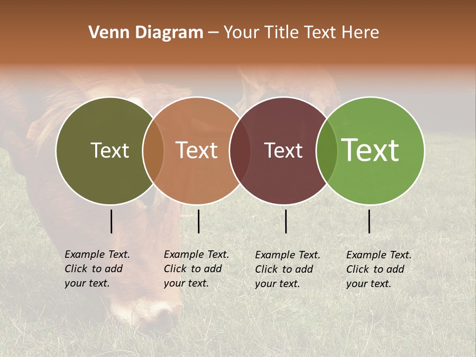 Isolated Cheese Yellow PowerPoint Template