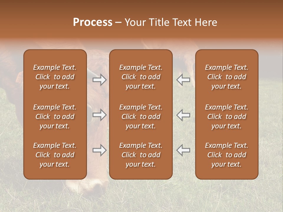Isolated Cheese Yellow PowerPoint Template