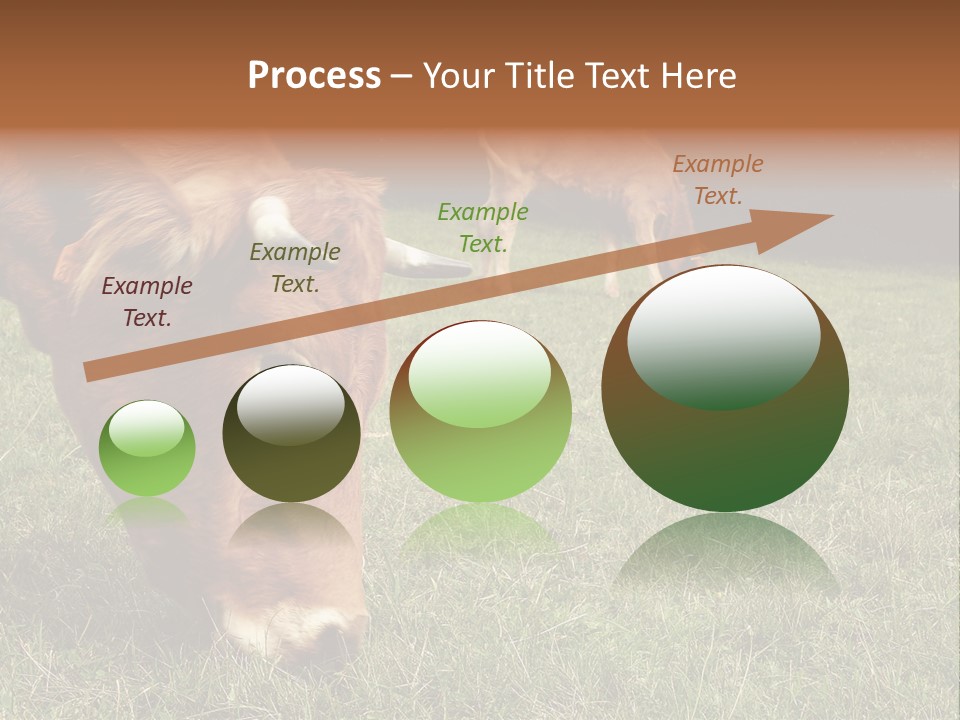 Isolated Cheese Yellow PowerPoint Template