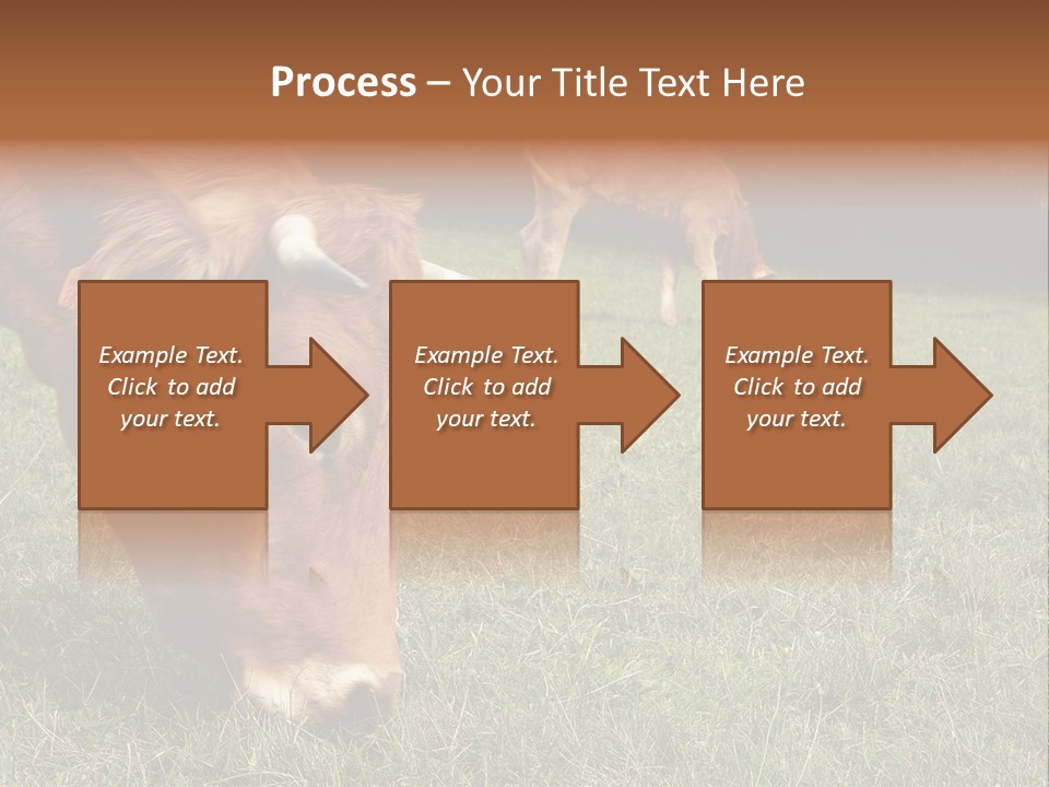 Isolated Cheese Yellow PowerPoint Template