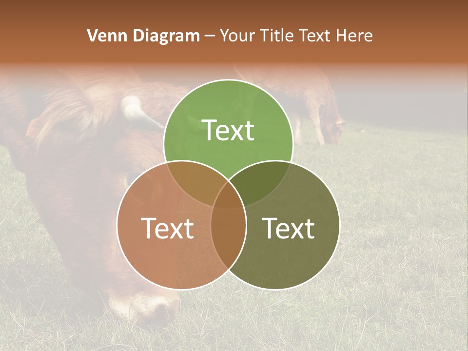 Isolated Cheese Yellow PowerPoint Template