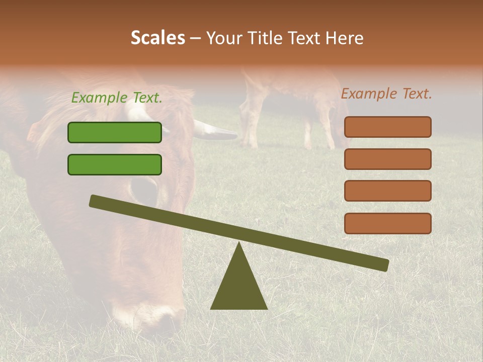 Isolated Cheese Yellow PowerPoint Template