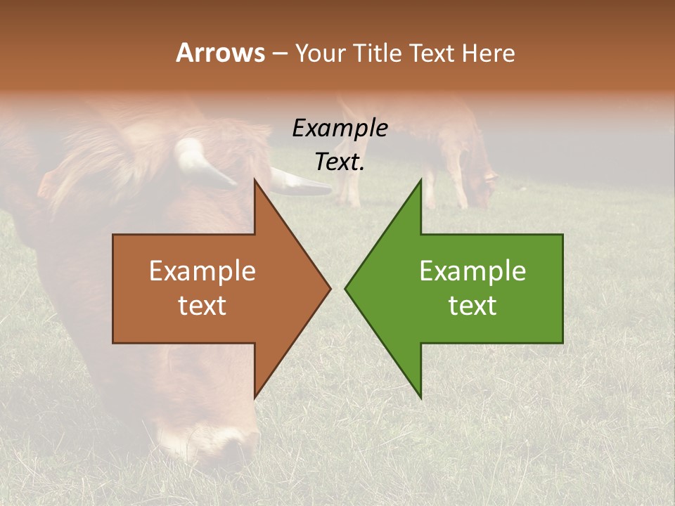 Isolated Cheese Yellow PowerPoint Template