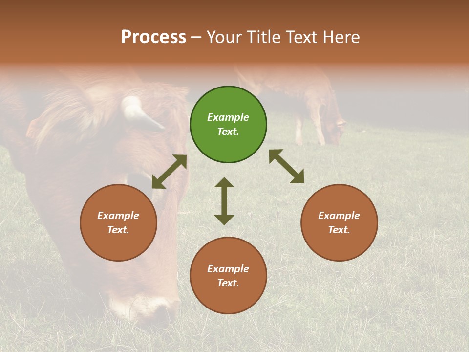 Isolated Cheese Yellow PowerPoint Template