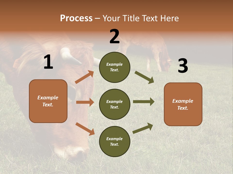 Isolated Cheese Yellow PowerPoint Template