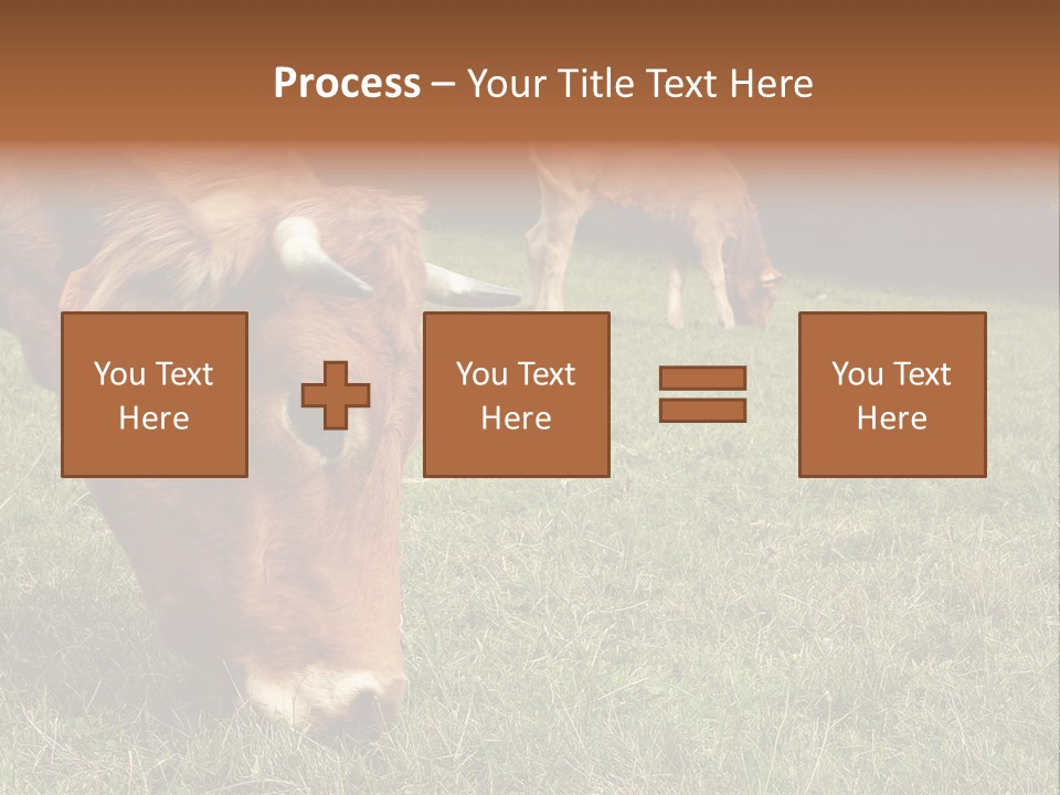 Isolated Cheese Yellow PowerPoint Template