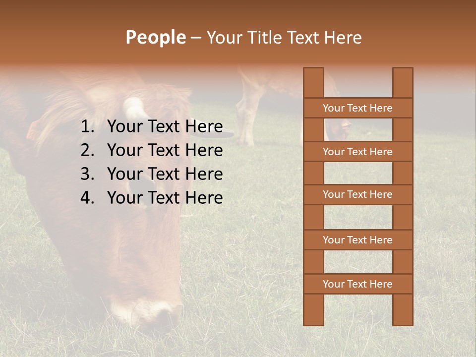 Isolated Cheese Yellow PowerPoint Template