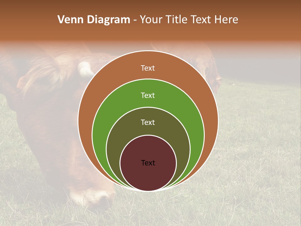 Isolated Cheese Yellow PowerPoint Template