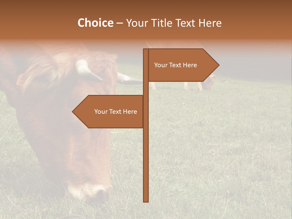 Isolated Cheese Yellow PowerPoint Template