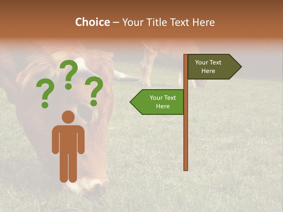 Isolated Cheese Yellow PowerPoint Template