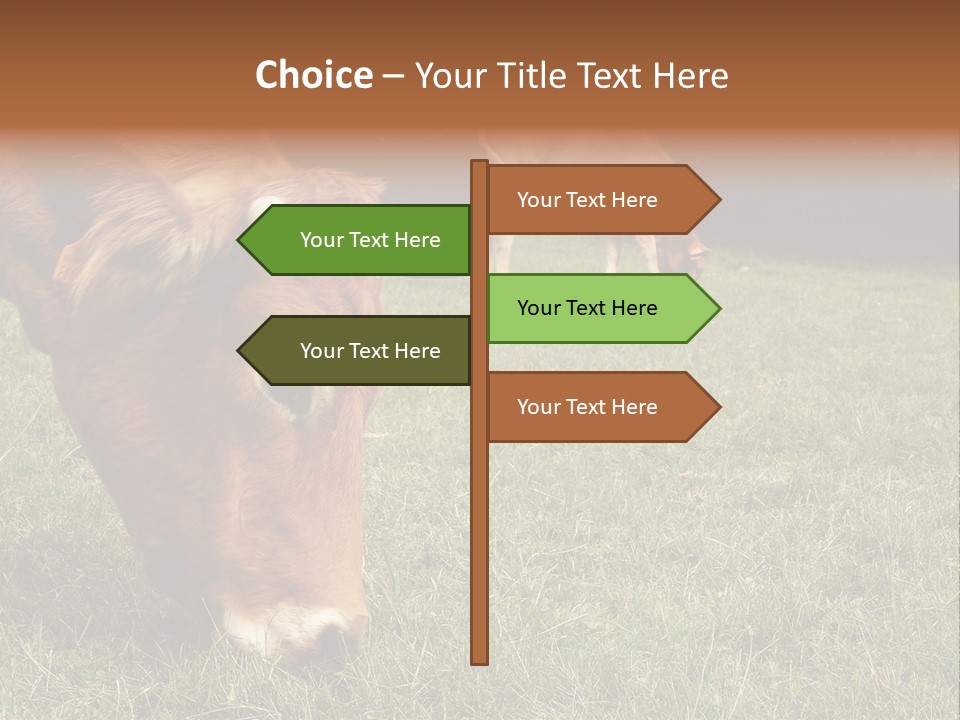 Isolated Cheese Yellow PowerPoint Template