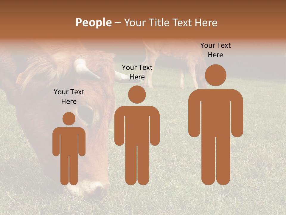 Isolated Cheese Yellow PowerPoint Template