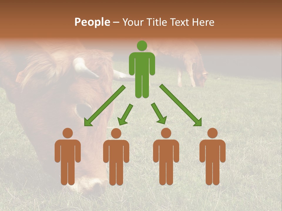 Isolated Cheese Yellow PowerPoint Template