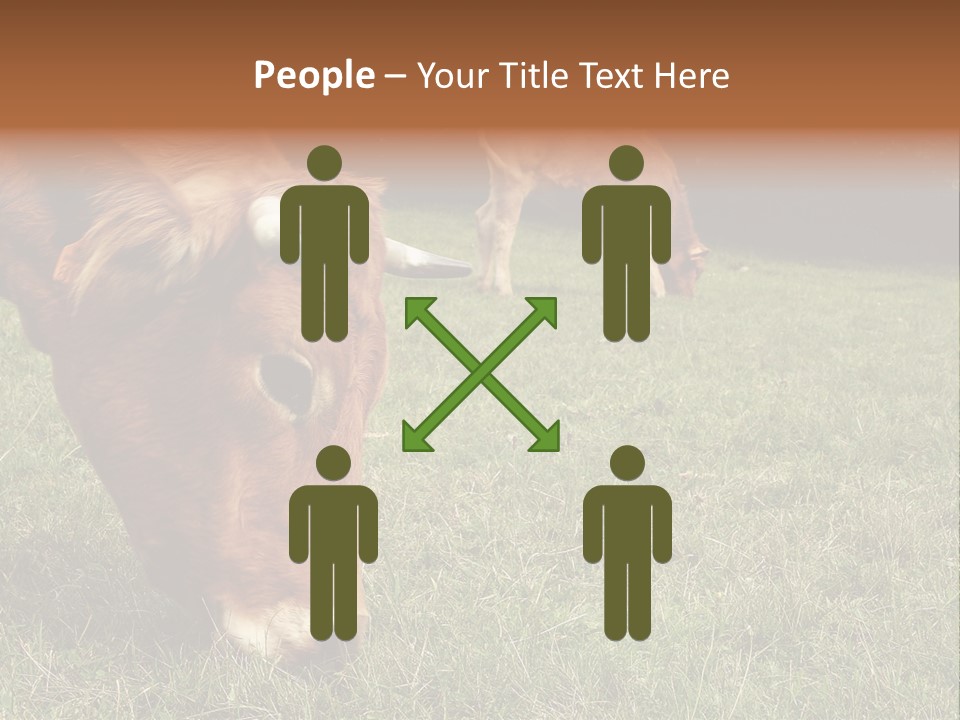 Isolated Cheese Yellow PowerPoint Template