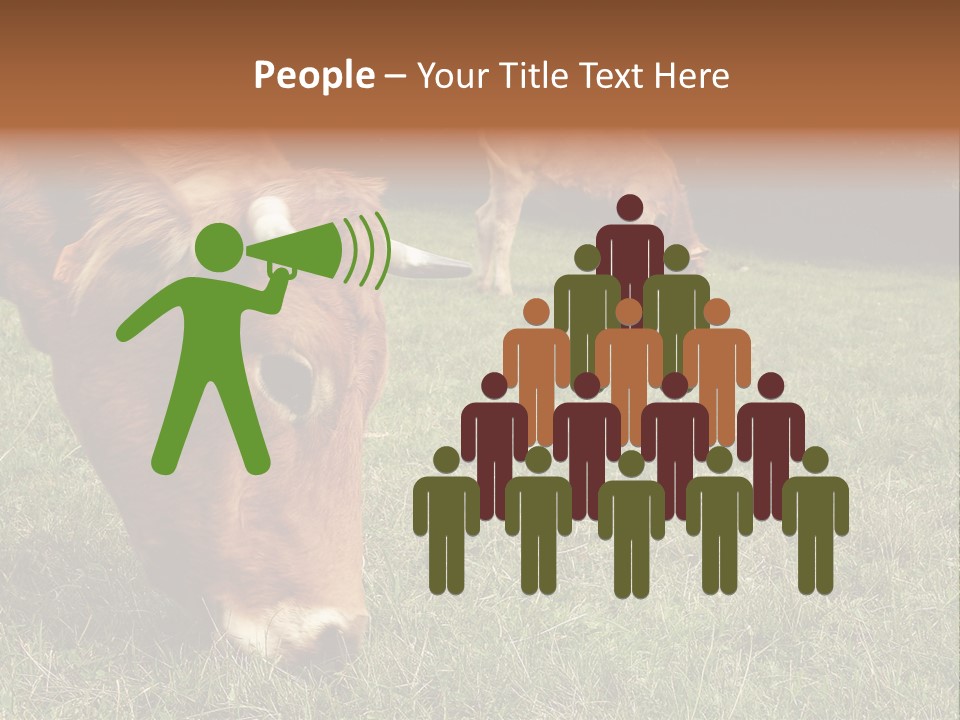 Isolated Cheese Yellow PowerPoint Template