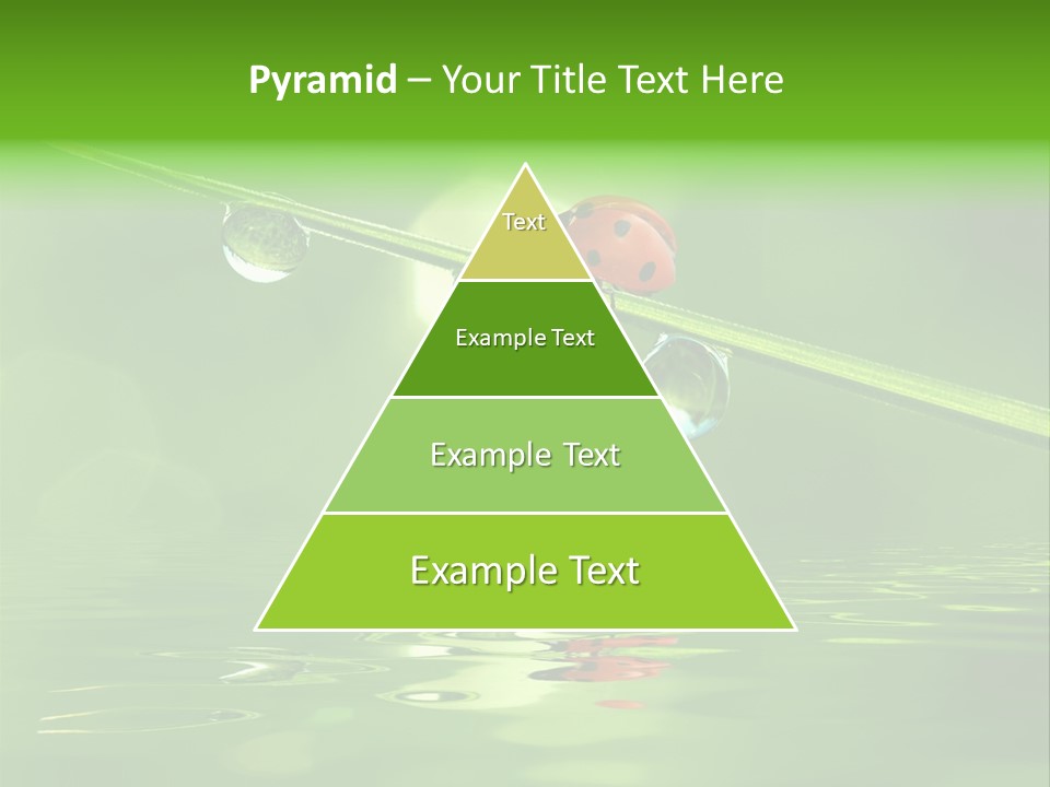 A Lady Bug Sitting On Top Of A Green Leaf PowerPoint Template