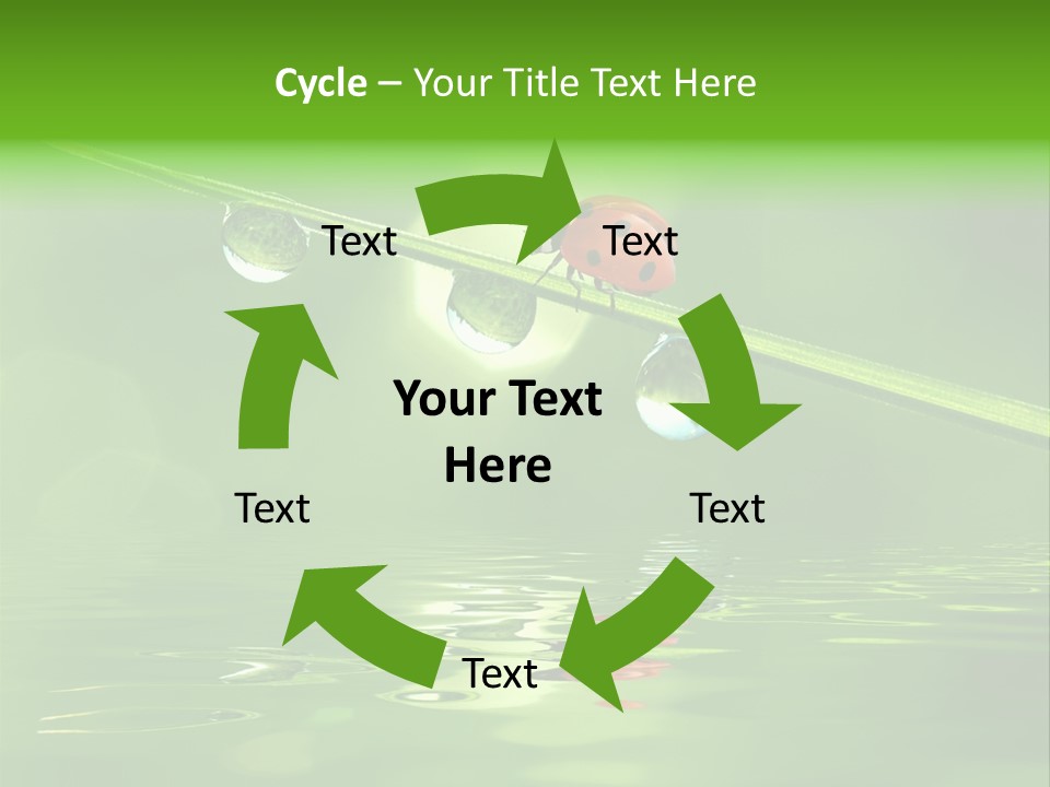 A Lady Bug Sitting On Top Of A Green Leaf PowerPoint Template