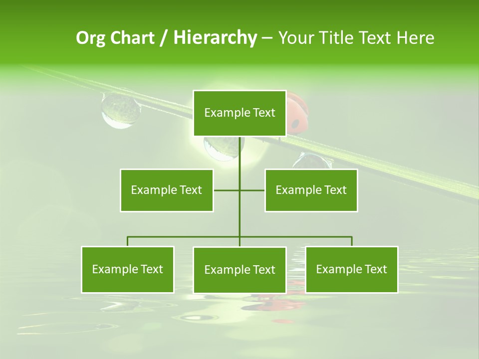 A Lady Bug Sitting On Top Of A Green Leaf PowerPoint Template