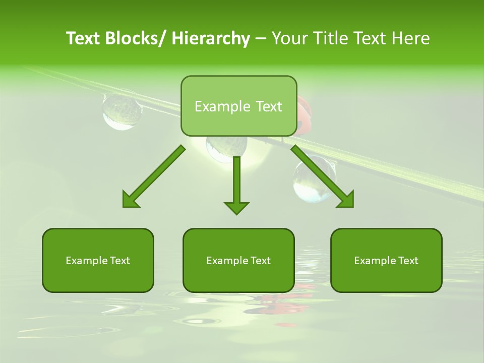 A Lady Bug Sitting On Top Of A Green Leaf PowerPoint Template