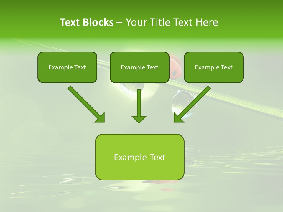 A Lady Bug Sitting On Top Of A Green Leaf PowerPoint Template