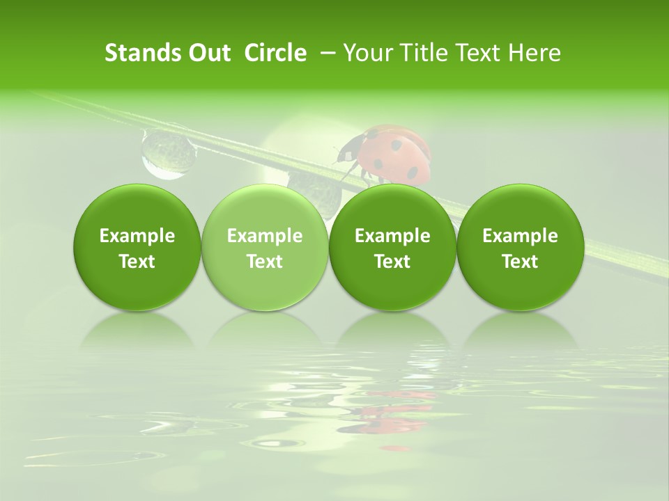 A Lady Bug Sitting On Top Of A Green Leaf PowerPoint Template
