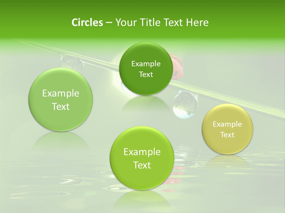 A Lady Bug Sitting On Top Of A Green Leaf PowerPoint Template