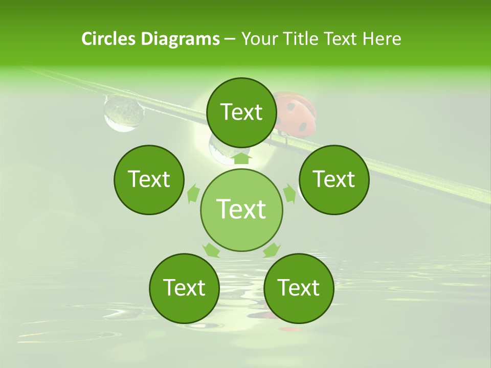 A Lady Bug Sitting On Top Of A Green Leaf PowerPoint Template