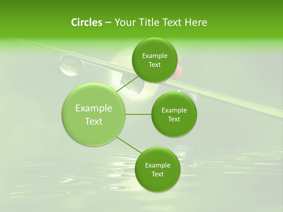 A Lady Bug Sitting On Top Of A Green Leaf PowerPoint Template