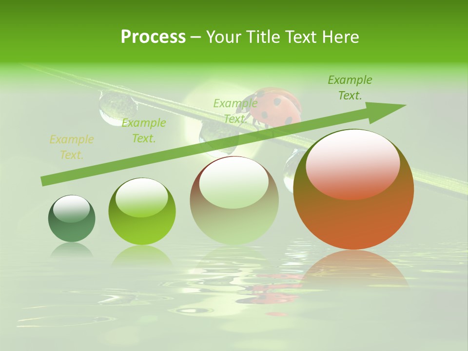 A Lady Bug Sitting On Top Of A Green Leaf PowerPoint Template