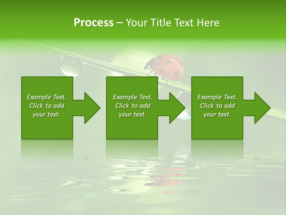 A Lady Bug Sitting On Top Of A Green Leaf PowerPoint Template